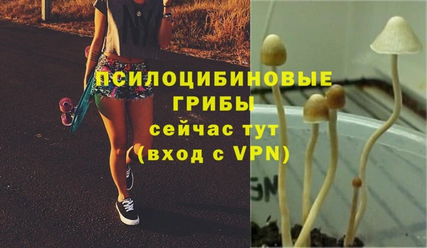мяу мяу мука Новозыбков