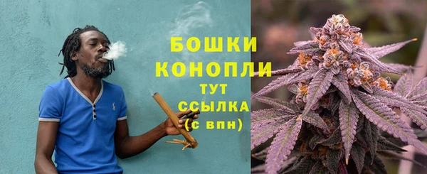 мяу мяу мука Новозыбков