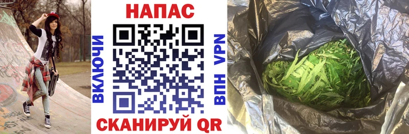 Канабис Amnesia Новопавловск