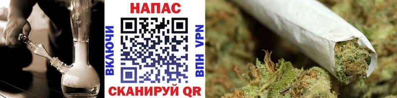 Бошки Шишки марихуана  Новопавловск 